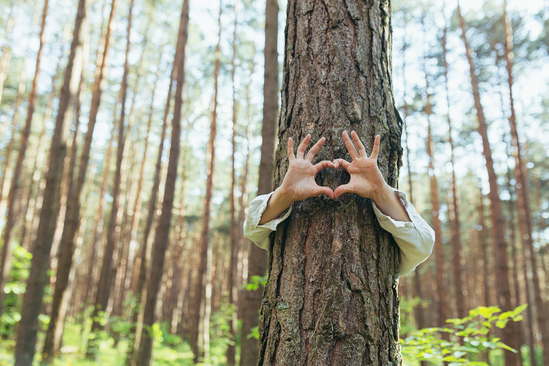 hands-of-a-young-woman-hug-a-tree-in-the-forest-an-2025-04-02-20-07-01-utc 1-min dalafrid heart tree